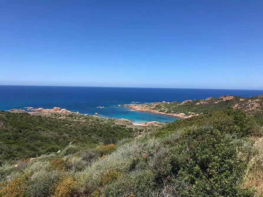 Immagine 34 di Casa colonica in vendita  a Trinità D'agultu E Vignola