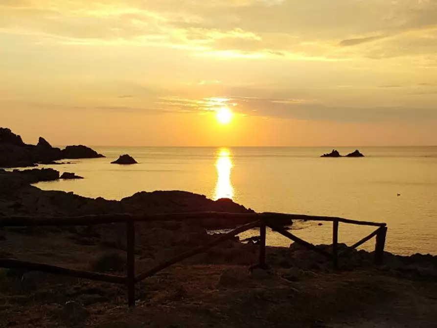 Immagine 5 di Casa colonica in vendita  a Trinità D'agultu E Vignola