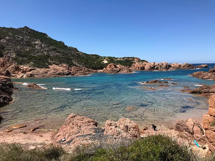 Immagine 39 di Casa colonica in vendita  a Trinità D'agultu E Vignola