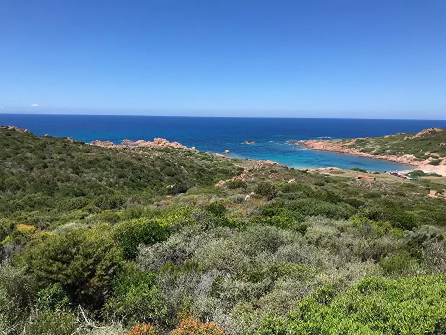 Immagine 53 di Casa colonica in vendita  a Trinità D'agultu E Vignola