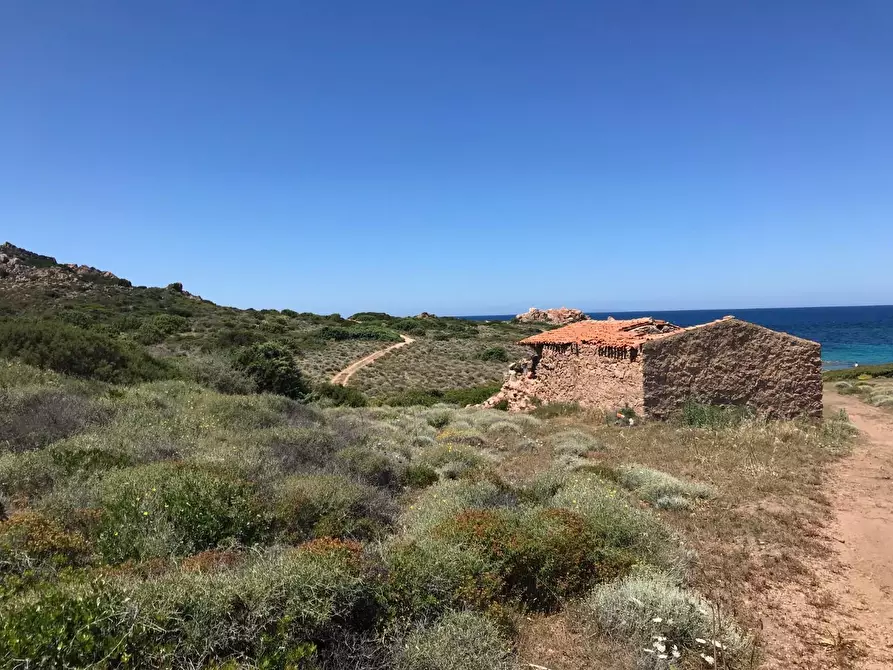 Immagine 2 di Casa colonica in vendita  a Trinità D'agultu E Vignola