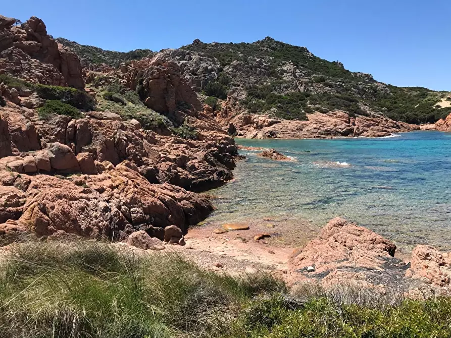 Immagine 38 di Casa colonica in vendita  a Trinità D'agultu E Vignola