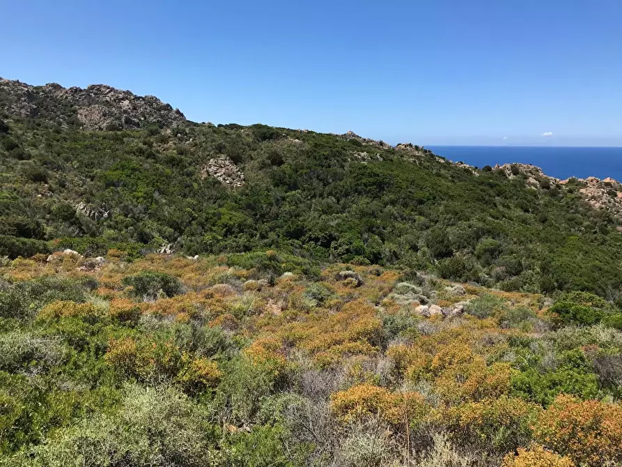 Immagine 57 di Casa colonica in vendita  a Trinità D'agultu E Vignola