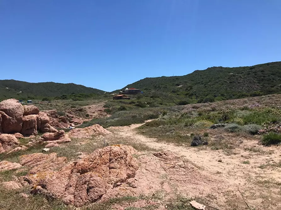 Immagine 29 di Casa colonica in vendita  a Trinità D'agultu E Vignola