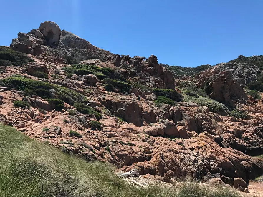 Immagine 40 di Casa colonica in vendita  a Trinità D'agultu E Vignola