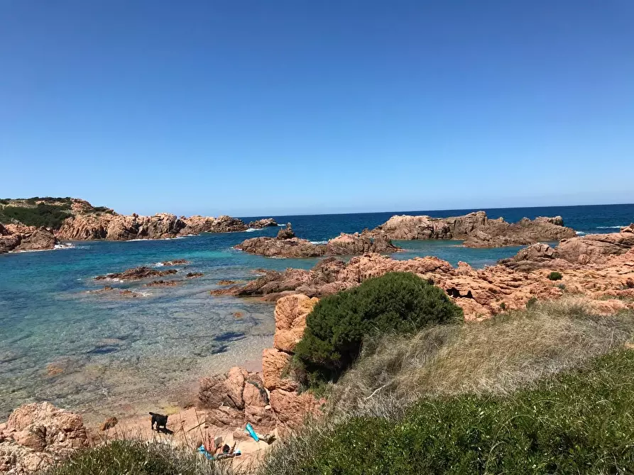 Immagine 28 di Casa colonica in vendita  a Trinità D'agultu E Vignola