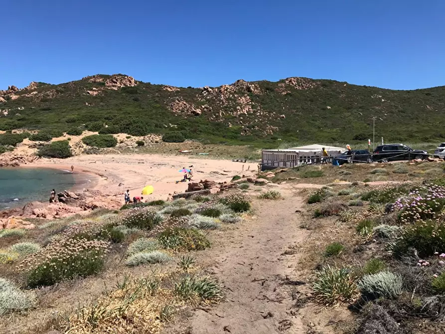 Immagine 17 di Casa colonica in vendita  a Trinità D'agultu E Vignola