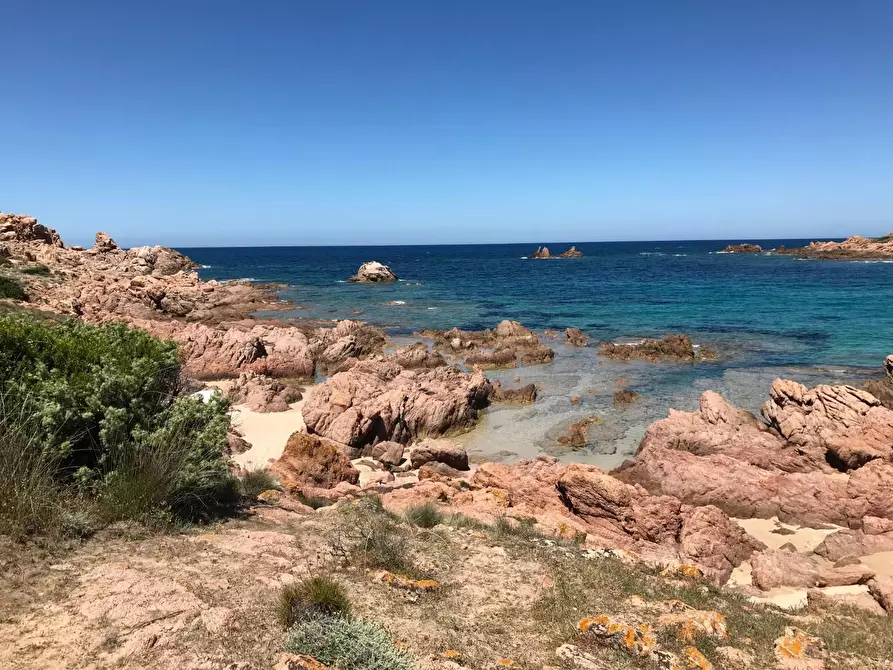 Immagine 32 di Casa colonica in vendita  a Trinità D'agultu E Vignola