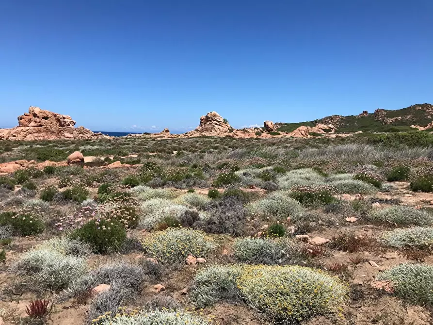 Immagine 44 di Casa colonica in vendita  a Trinità D'agultu E Vignola