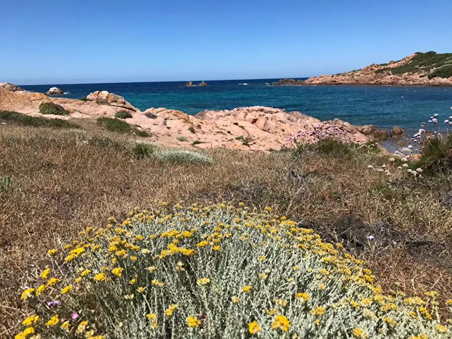 Immagine 14 di Casa colonica in vendita  a Trinità D'agultu E Vignola