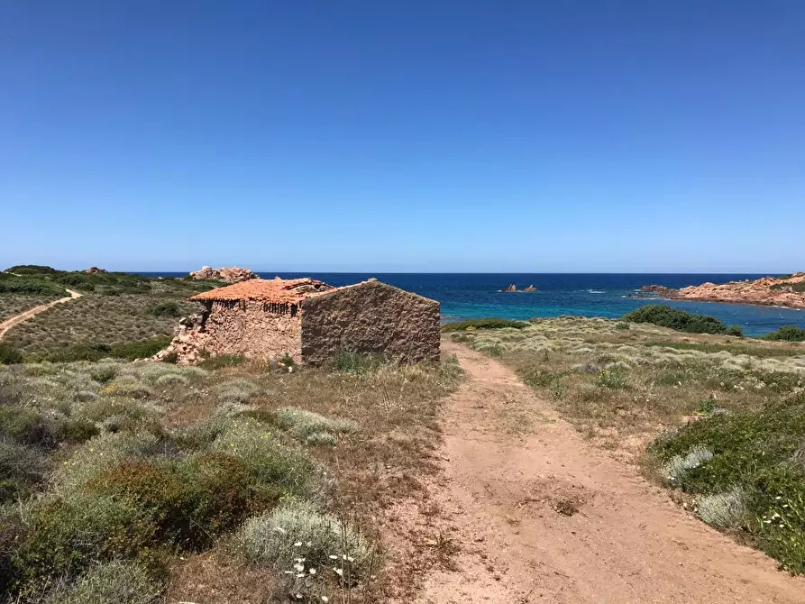 Immagine 1 di Casa colonica in vendita  a Trinità D'agultu E Vignola