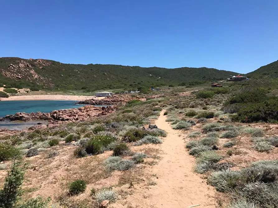 Immagine 35 di Casa colonica in vendita  a Trinità D'agultu E Vignola