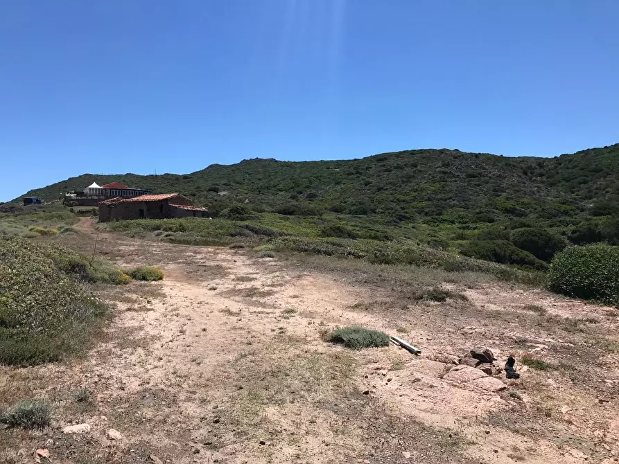 Immagine 23 di Casa colonica in vendita  a Trinità D'agultu E Vignola