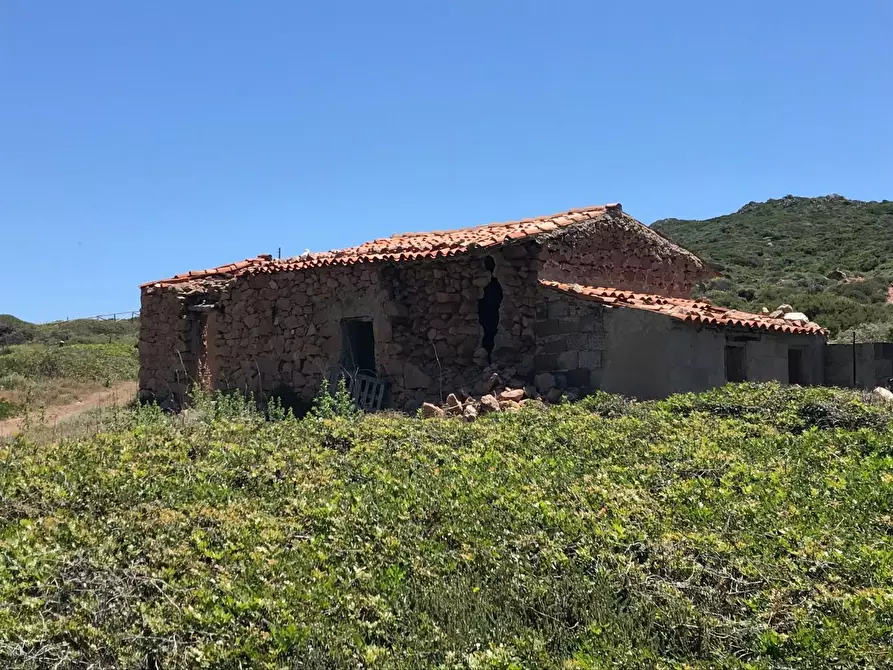 Immagine 3 di Casa colonica in vendita  a Trinità D'agultu E Vignola