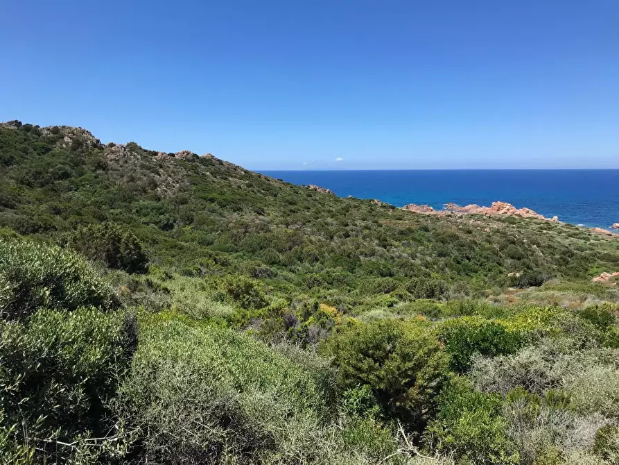 Immagine 54 di Casa colonica in vendita  a Trinità D'agultu E Vignola