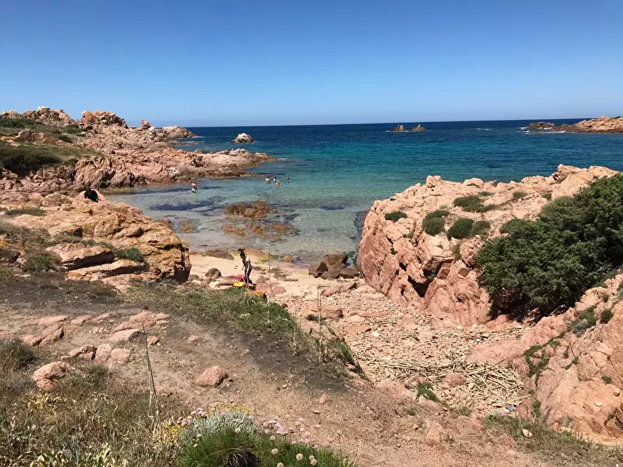 Immagine 10 di Casa colonica in vendita  a Trinità D'agultu E Vignola
