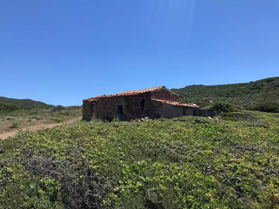 Immagine 15 di Casa colonica in vendita  a Trinità D'agultu E Vignola