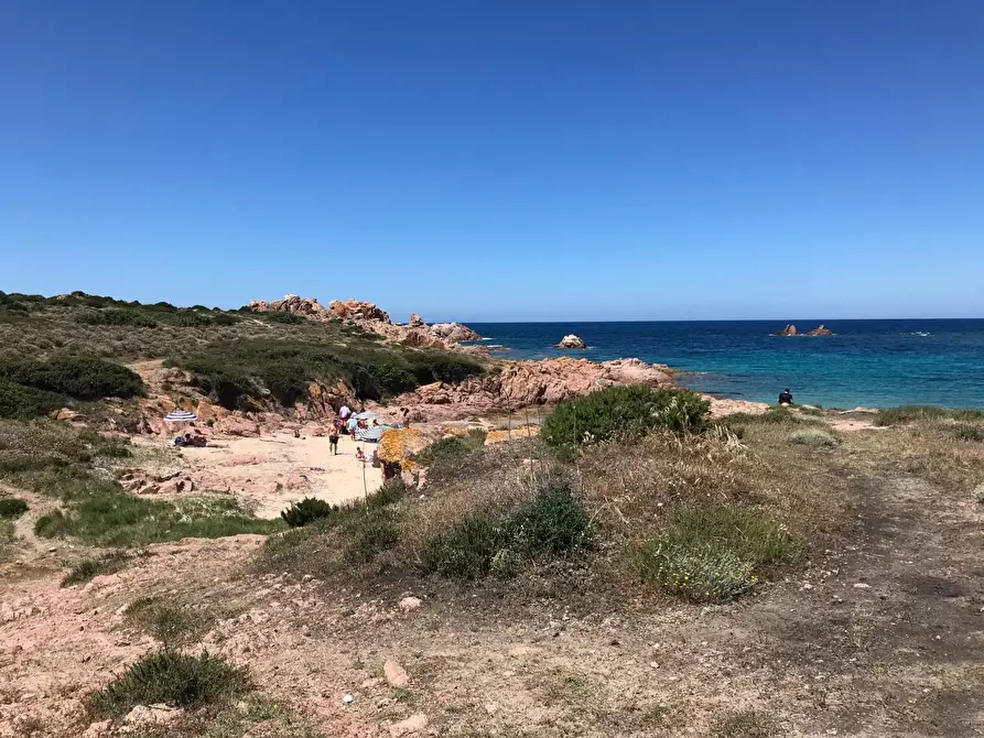 Immagine 24 di Casa colonica in vendita  a Trinità D'agultu E Vignola