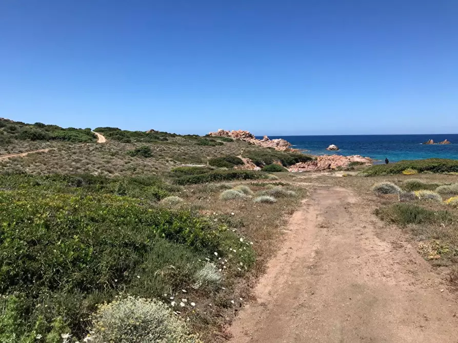 Immagine 27 di Casa colonica in vendita  a Trinità D'agultu E Vignola