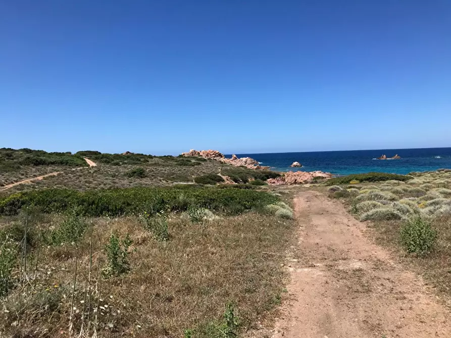 Immagine 8 di Casa colonica in vendita  a Trinità D'agultu E Vignola