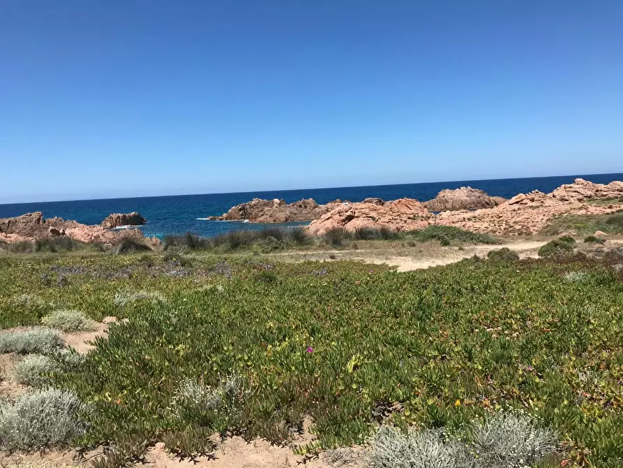 Immagine 43 di Casa colonica in vendita  a Trinità D'agultu E Vignola