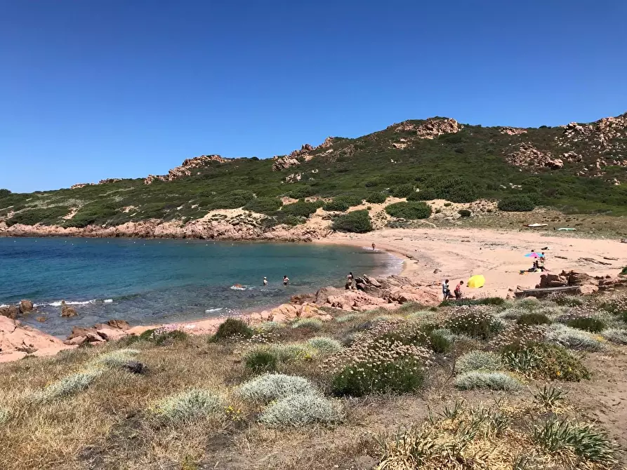 Immagine 11 di Casa colonica in vendita  a Trinità D'agultu E Vignola