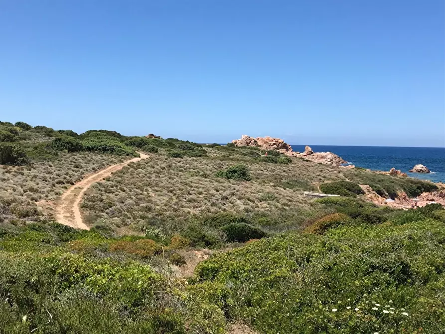 Immagine 51 di Casa colonica in vendita  a Trinità D'agultu E Vignola