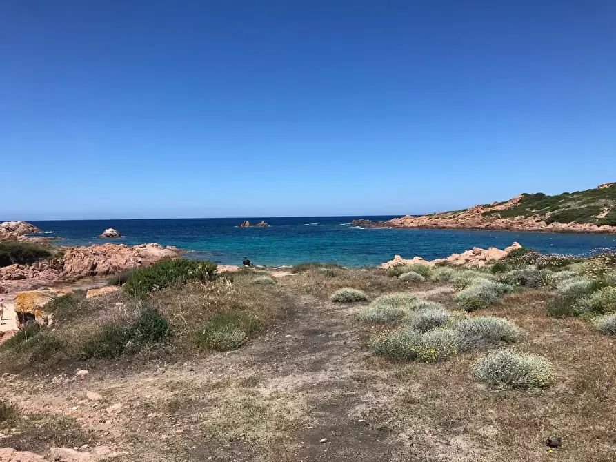 Immagine 19 di Casa colonica in vendita  a Trinità D'agultu E Vignola