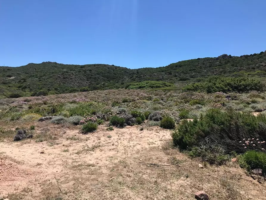 Immagine 30 di Casa colonica in vendita  a Trinità D'agultu E Vignola