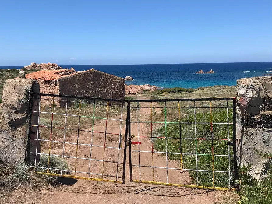 Immagine 4 di Casa colonica in vendita  a Trinità D'agultu E Vignola