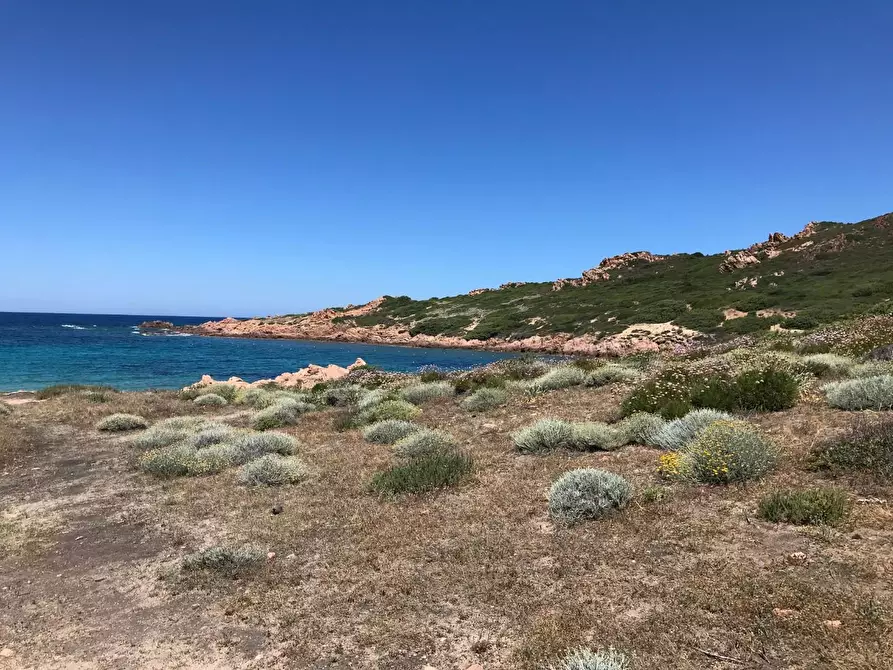 Immagine 20 di Casa colonica in vendita  a Trinità D'agultu E Vignola