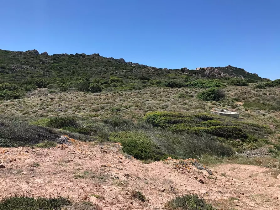 Immagine 18 di Casa colonica in vendita  a Trinità D'agultu E Vignola