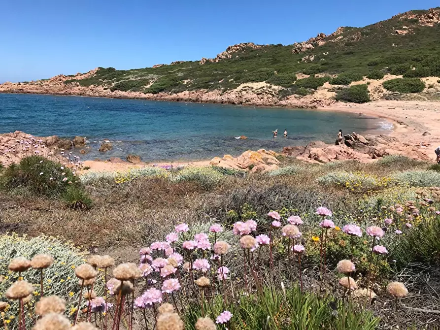 Immagine 13 di Casa colonica in vendita  a Trinità D'agultu E Vignola