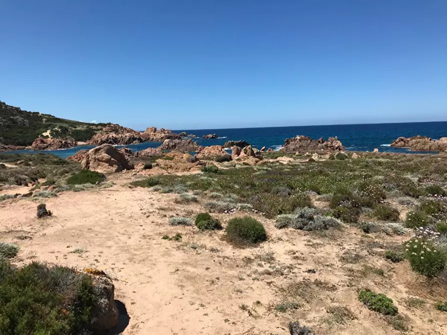 Immagine 36 di Casa colonica in vendita  a Trinità D'agultu E Vignola
