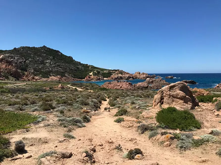 Immagine 37 di Casa colonica in vendita  a Trinità D'agultu E Vignola