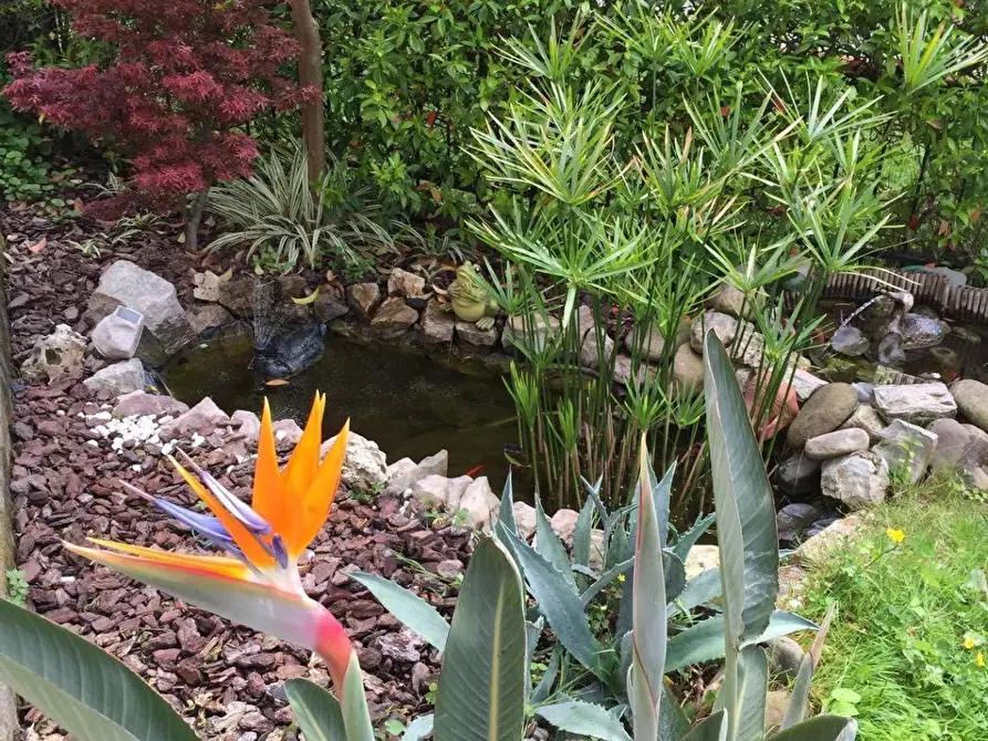 Immagine 40 di Villa in vendita  a Ameglia