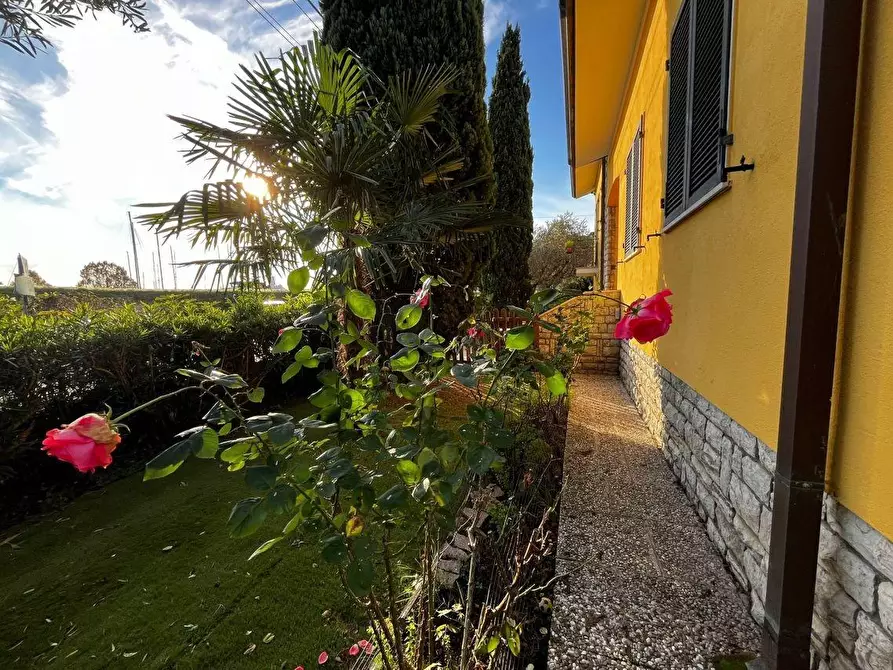 Immagine 9 di Villa in vendita  a Ameglia