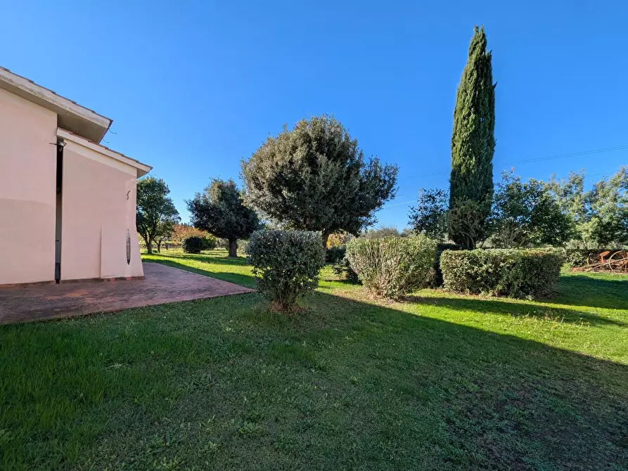 Immagine 7 di Villa in vendita  a Grosseto