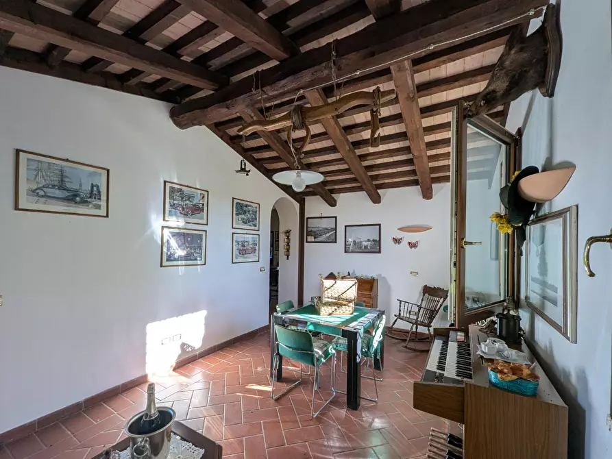 Immagine 53 di Villa in vendita  a Grosseto