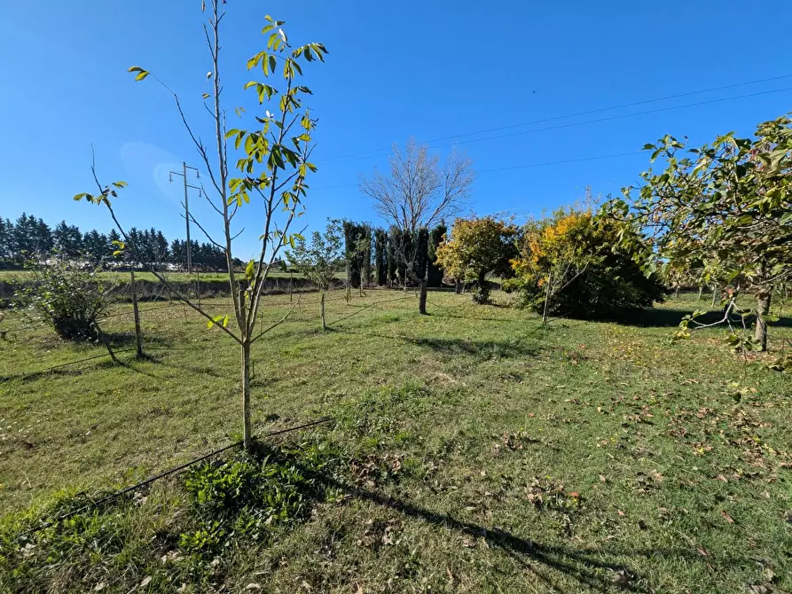 Immagine 79 di Villa in vendita  a Grosseto