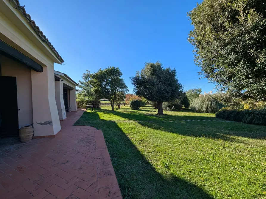 Immagine 12 di Villa in vendita  a Grosseto