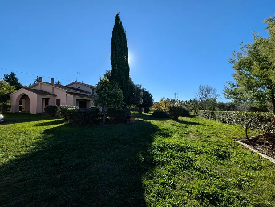 Immagine 2 di Villa in vendita  a Grosseto