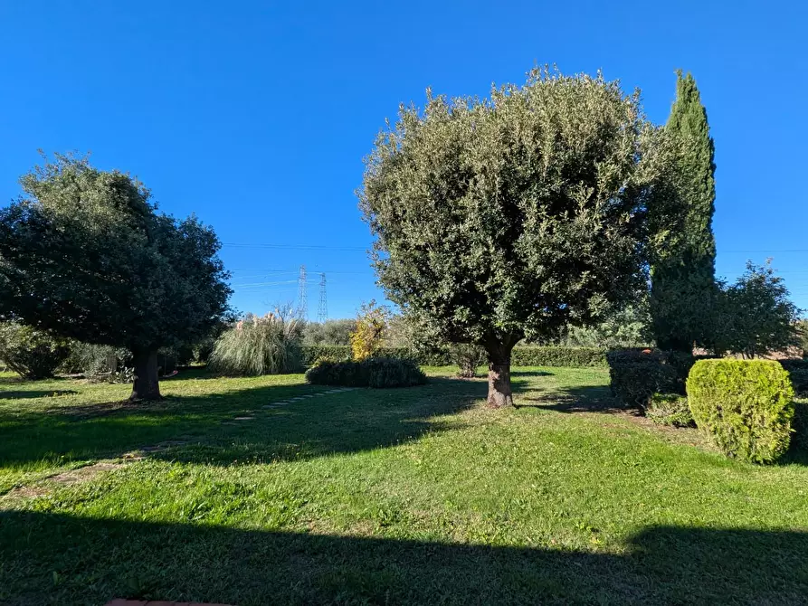 Immagine 13 di Villa in vendita  a Grosseto