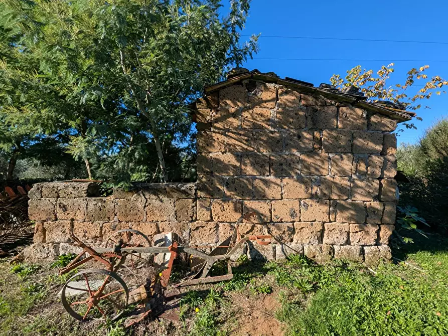 Immagine 3 di Villa in vendita  a Grosseto