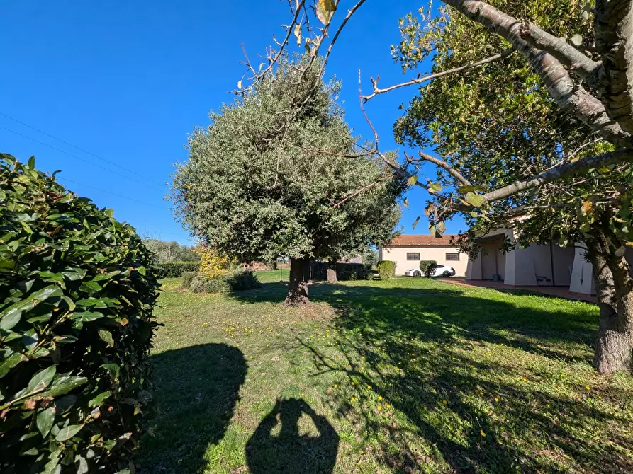 Immagine 81 di Villa in vendita  a Grosseto