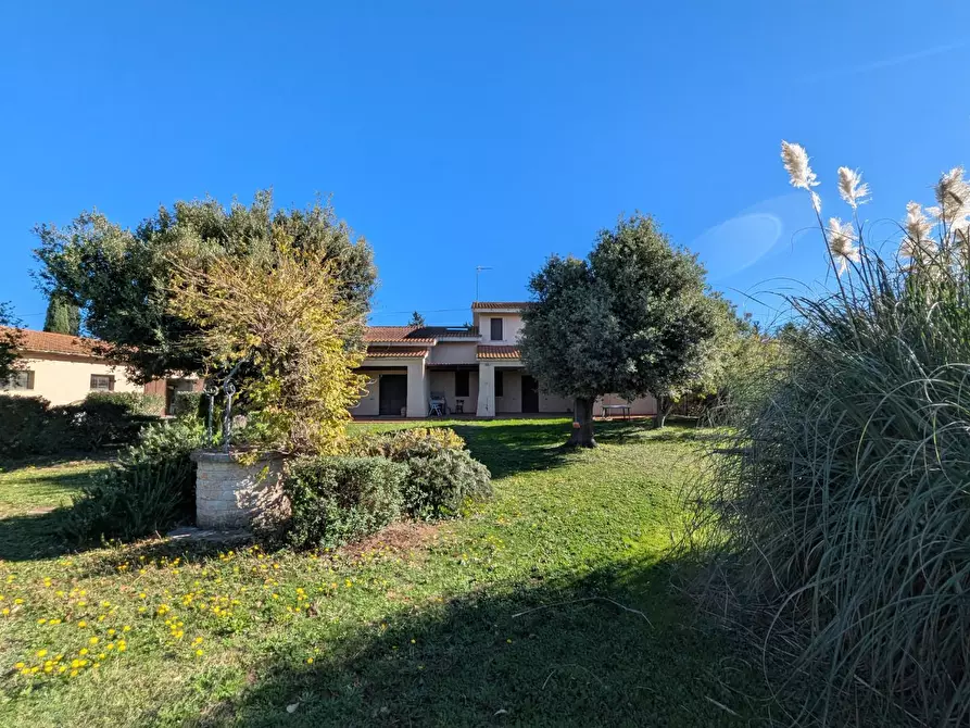 Immagine 82 di Villa in vendita  a Grosseto