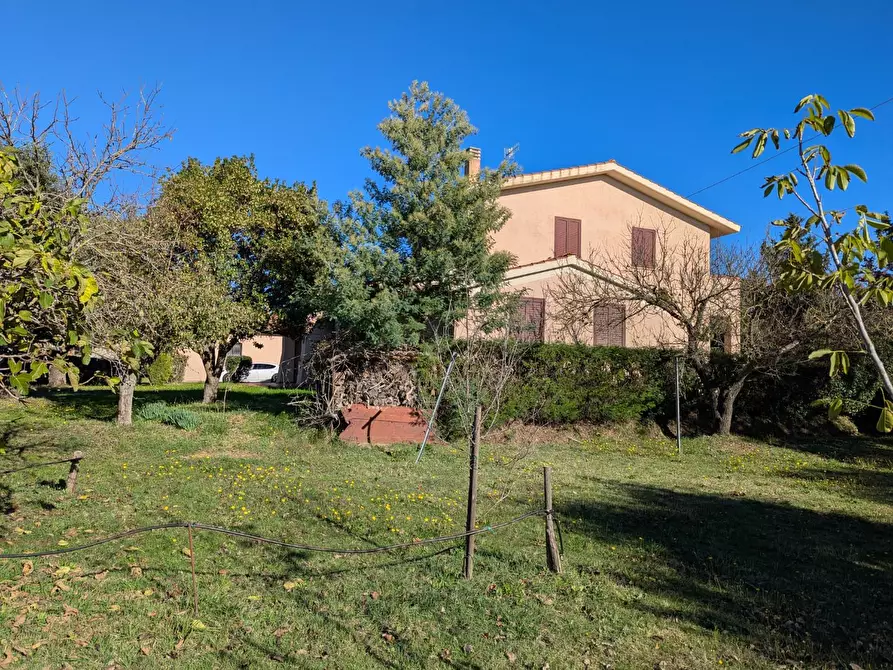 Immagine 80 di Villa in vendita  a Grosseto