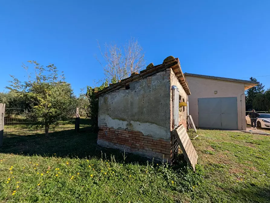 Immagine 4 di Villa in vendita  a Grosseto