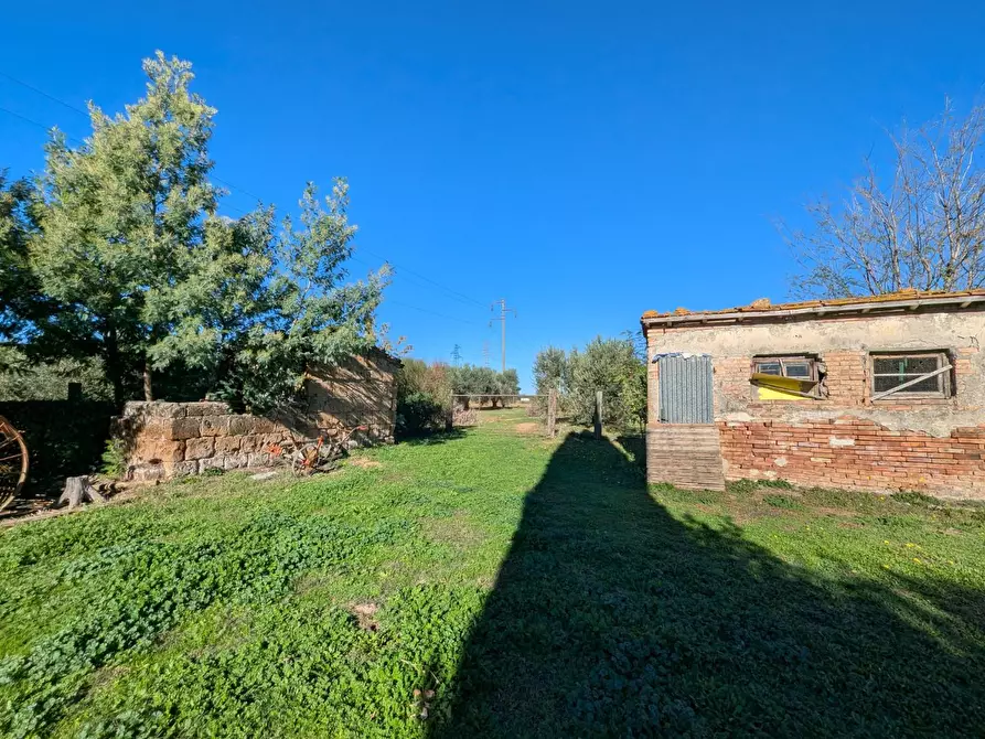 Immagine 86 di Villa in vendita  a Grosseto