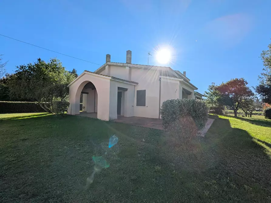 Immagine 6 di Villa in vendita  a Grosseto